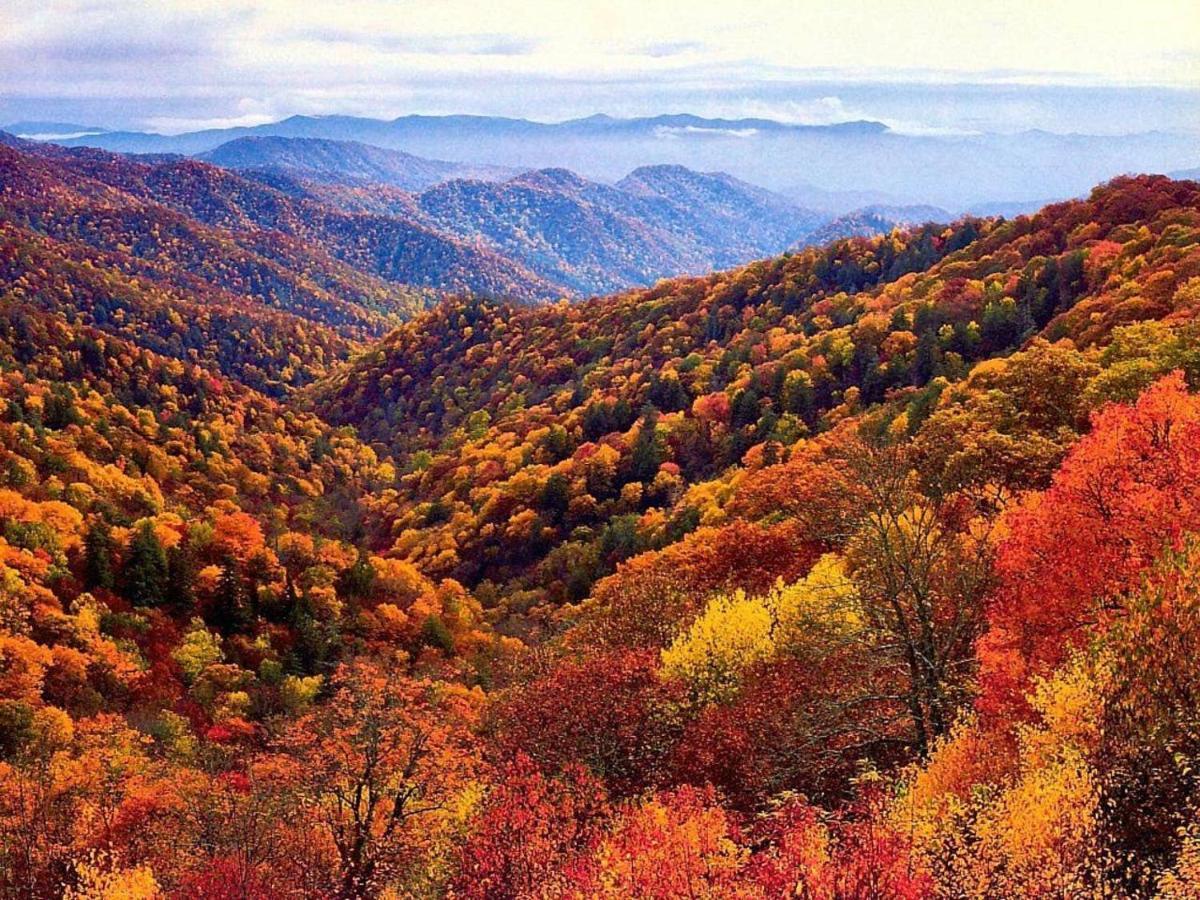 Cabin Style Mountaintop Views - Indoor&Outdoor Pools - 2 Hot Tubs Gatlinburg Buitenkant foto