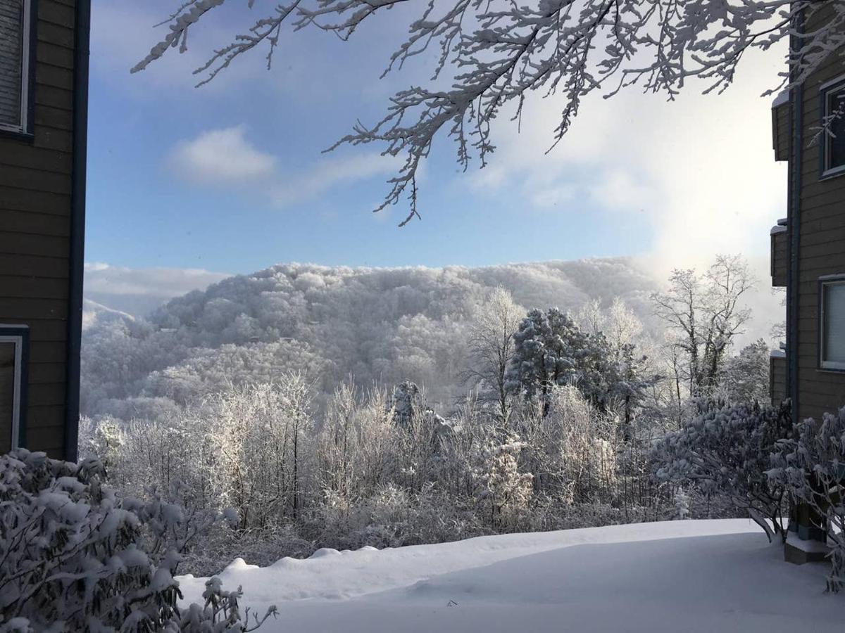 Cabin Style Mountaintop Views - Indoor&Outdoor Pools - 2 Hot Tubs Gatlinburg Buitenkant foto