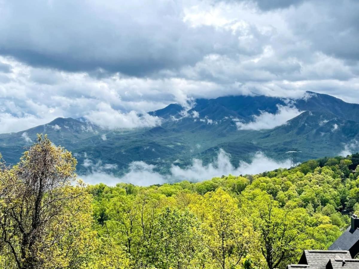 Cabin Style Mountaintop Views - Indoor&Outdoor Pools - 2 Hot Tubs Gatlinburg Buitenkant foto