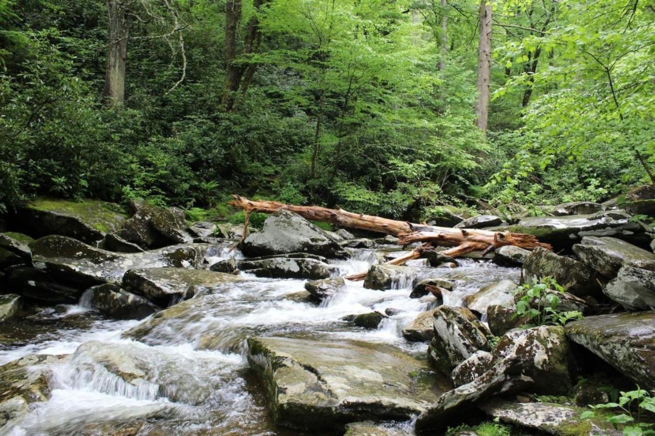 Cabin Style Mountaintop Views - Indoor&Outdoor Pools - 2 Hot Tubs Gatlinburg Buitenkant foto